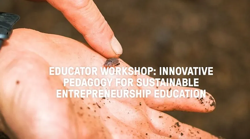 Sustainable entrepreneurship workshop